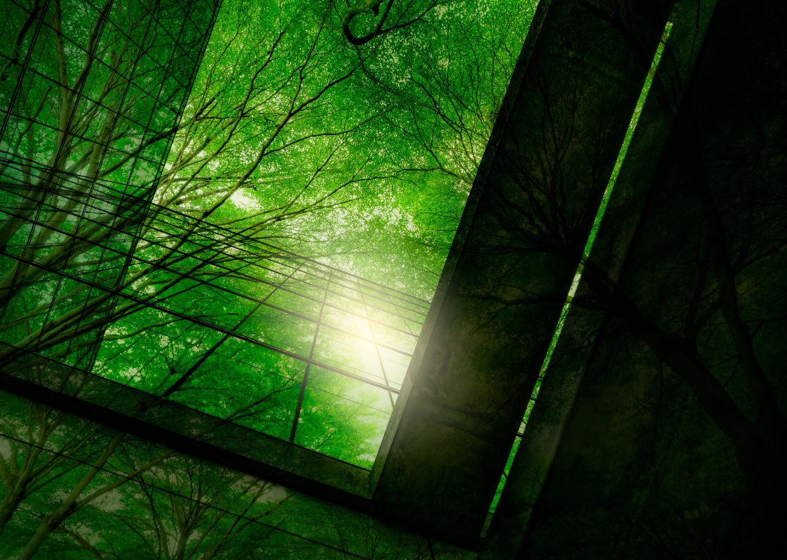 Compliance, Regulatory, and Corporate Governance