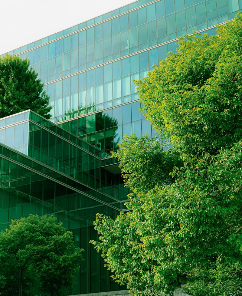 Bank Regulatory and Advisory
