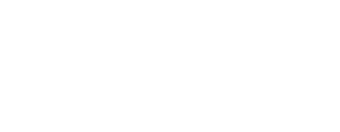 Canopy Consulting Group
